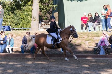 Bild 86 - Pony Akademie Turnier